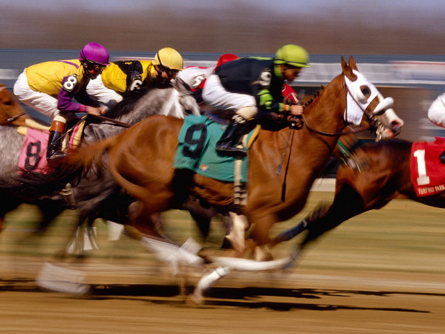 Horses racing track jockeys competition free wallpaper - medium preview image