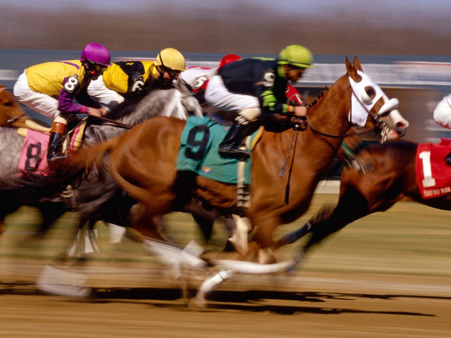 Horses racing jockeys track competition #2 free wallpaper - medium preview image