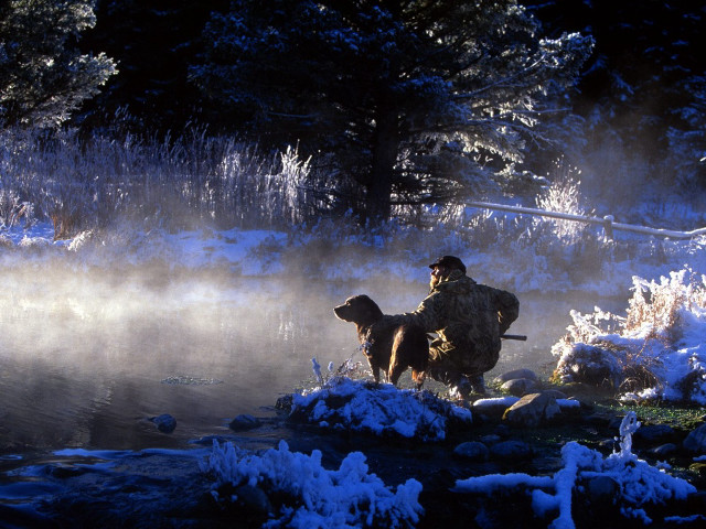 Winter woods lake snow mist free wallpaper - medium preview image