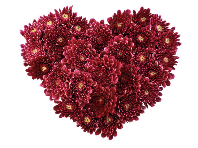 Heart red flowers gold center free wallpaper - medium preview image