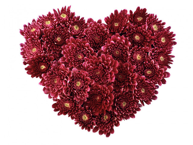 Heart shaped red flowers white free wallpaper - medium preview image