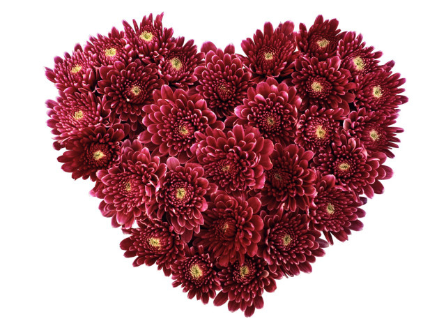 Heart shaped red flowers white #2 free wallpaper - medium preview image