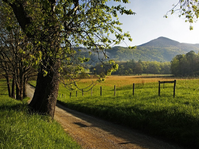 Dirt road grassy field fence #2 free wallpaper - medium preview image