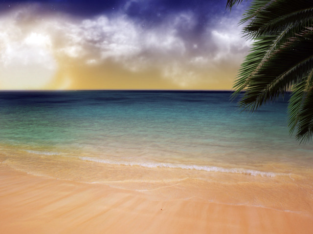 Beach palm tree blue ocean #2 free wallpaper - medium preview image
