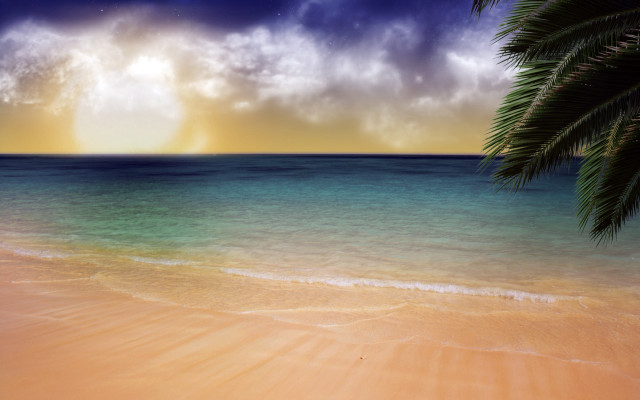 Beach palm tree sunset clouds #2 free wallpaper - medium preview image