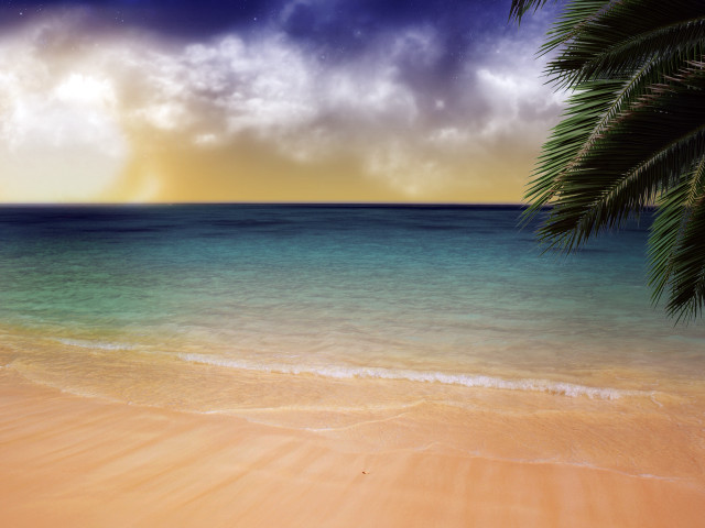 Beach palm tree blue ocean #9 free wallpaper - medium preview image