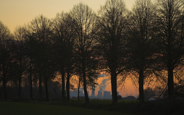 Trees sunset building smoke distance free wallpaper - medium preview image