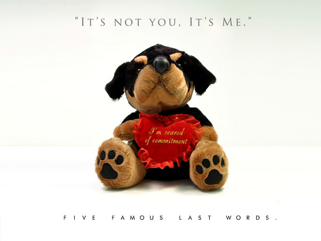Stuffed dog heart quote halloween #2 free wallpaper - medium preview image
