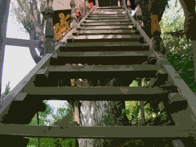 Group people stairs woods trees #2 free wallpaper - medium preview image