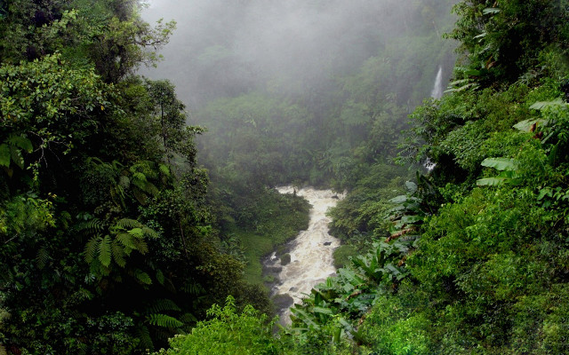 River jungle waterfall fog nature #3 free wallpaper - medium preview image