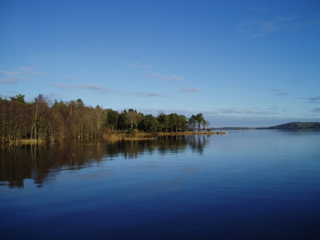 Lake trees blue sky clouds #13 free wallpaper - medium preview image
