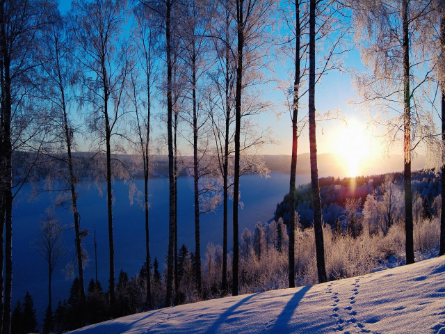 Snowy landscape trees lake sunset #3 free wallpaper - medium preview image