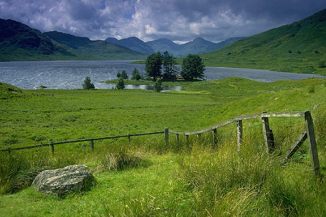 Grassy field wooden fence lake #2 free wallpaper - medium preview image