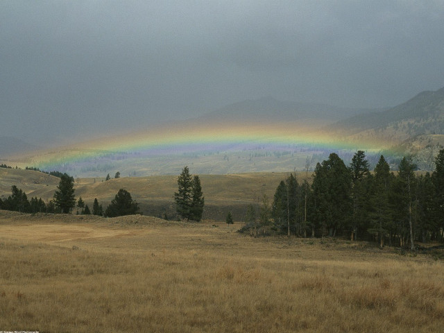 Rainbow field grass trees foreground free wallpaper - medium preview image