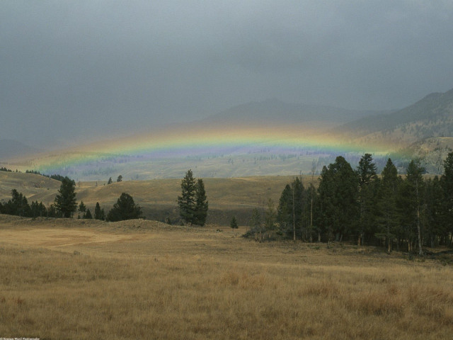 Rainbow field trees mountain dark #2 free wallpaper - medium preview image