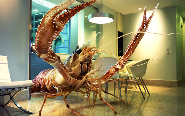 Large lobster standing room chairs free wallpaper - medium preview image