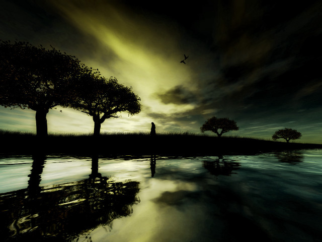 Dark landscape trees water night #2 free wallpaper - medium preview image