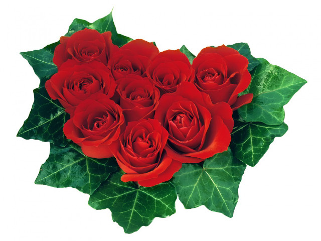 Red roses bouquet green leaves #2 free wallpaper - medium preview image