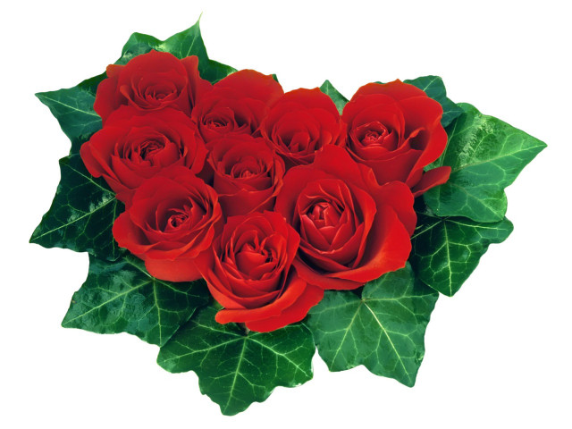 Red roses bouquet green leaves #3 free wallpaper - medium preview image
