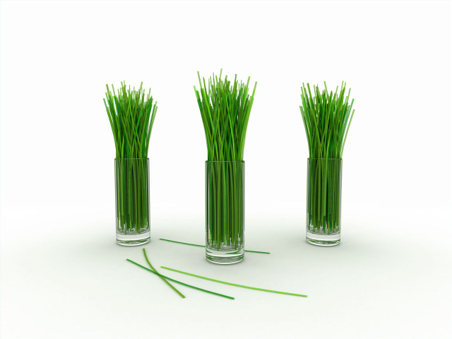 Three vases grass white surface #2 free wallpaper - medium preview image