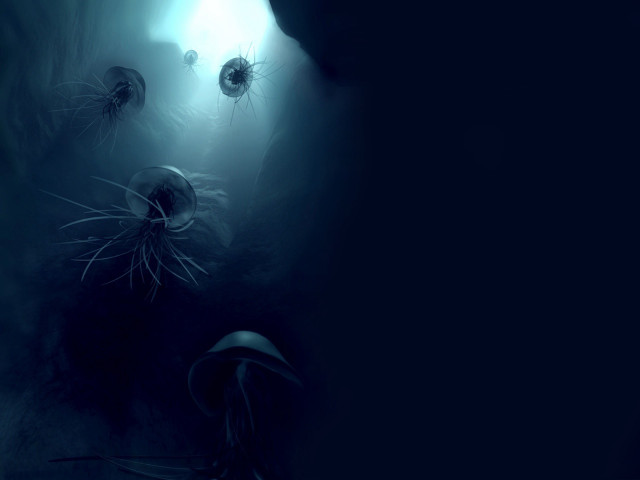 Jellyfish swimming dark ocean surface #3 free wallpaper - medium preview image