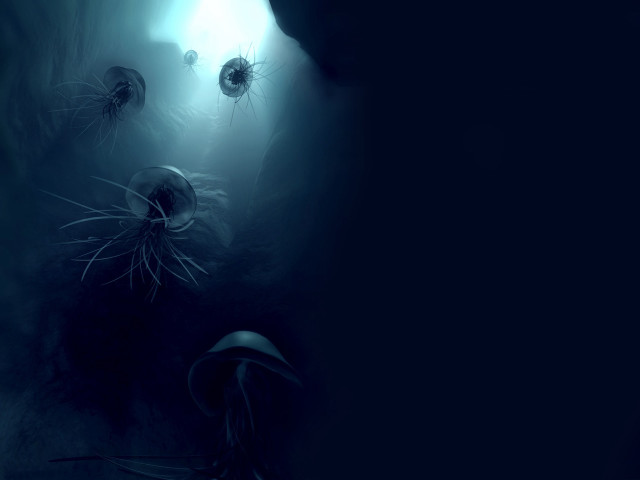 Jellyfish swimming dark ocean surface #4 free wallpaper - medium preview image