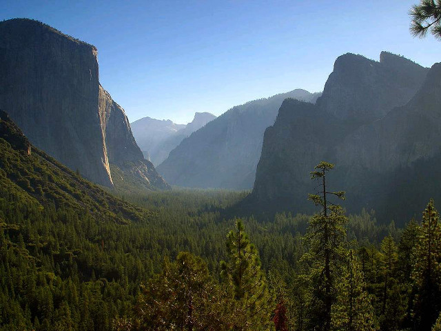 Valley mountains trees foreground scenic #2 free wallpaper - medium preview image