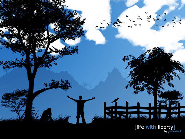 Person tree birds flying fence free wallpaper - medium preview image