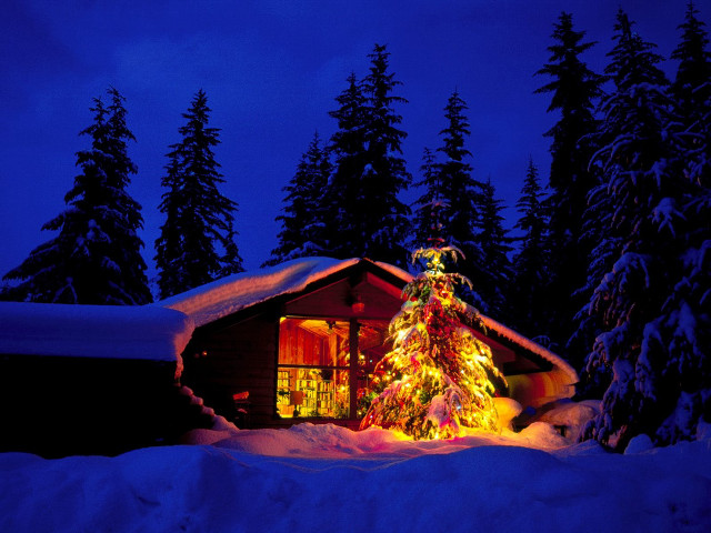 Lit christmas tree cabin snow free wallpaper - medium preview image