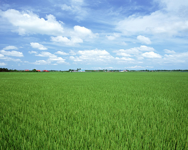 Green field blue sky clouds #49 free wallpaper - medium preview image