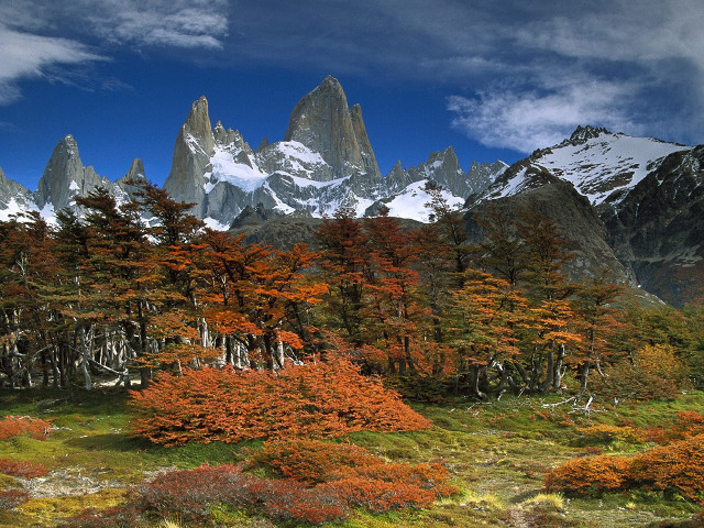 Mountain range trees flowers blue free wallpaper for desktop - medium preview image