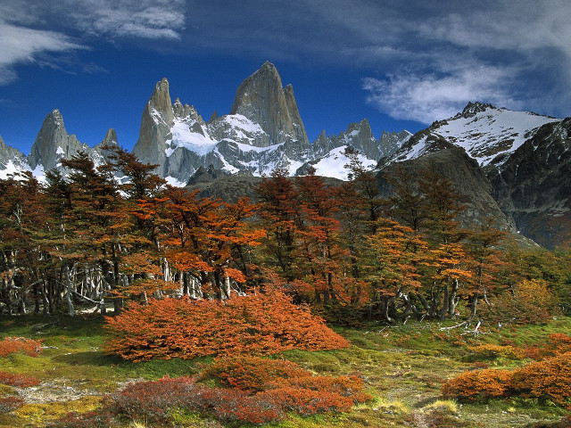 Mountain range trees flowers blue #2 free wallpaper - medium preview image