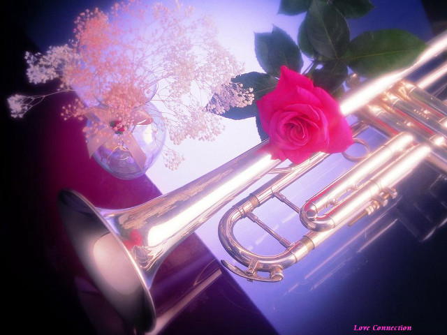 Trumpet rose vase table blue free wallpaper - medium preview image
