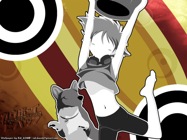 Woman cat hat dog holding free wallpaper - medium preview image
