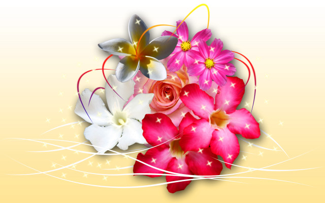 Bouquet star swirled center flowers free wallpaper - medium preview image
