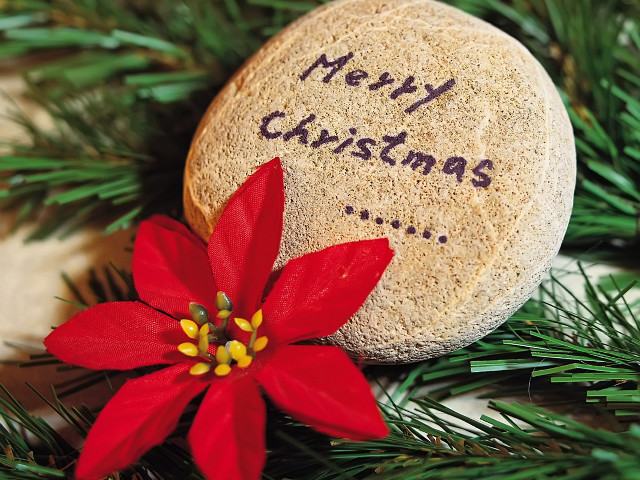 Rock red flower christmas message #2 free wallpaper - medium preview image