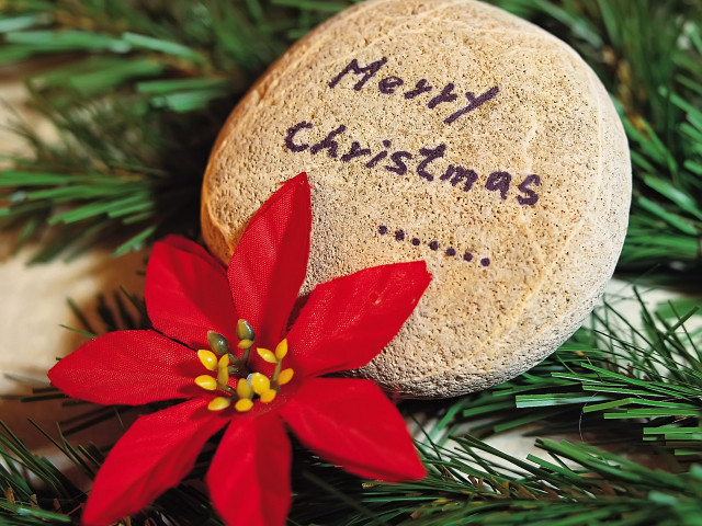 Rock red flower christmas message #4 free wallpaper - medium preview image
