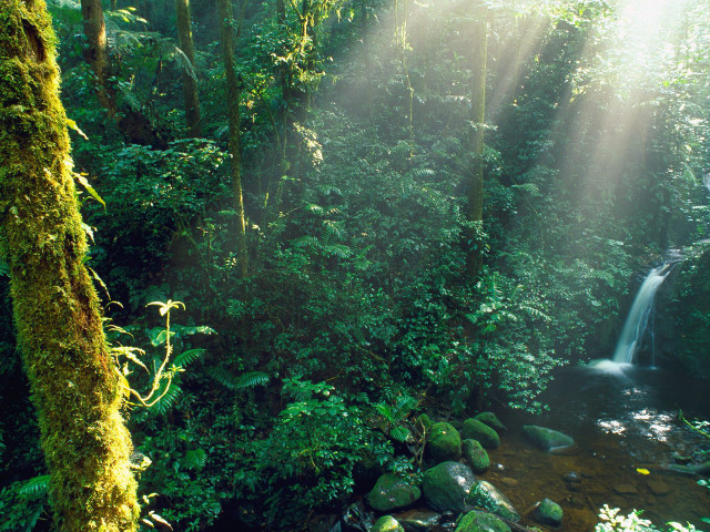 Stream forest waterfall sunbeams trees #2 free wallpaper - medium preview image