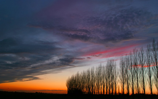 Trees sunset clouds sky background free wallpaper - medium preview image
