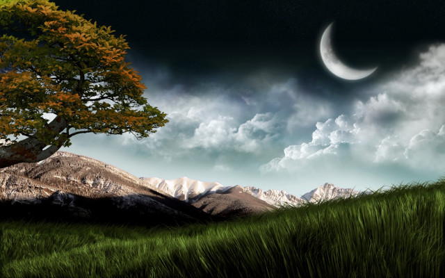 Tree moon sky hill grassy free wallpaper - medium preview image