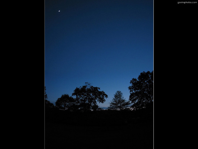 Dark sky trees moon clouds #2 free wallpaper - medium preview image