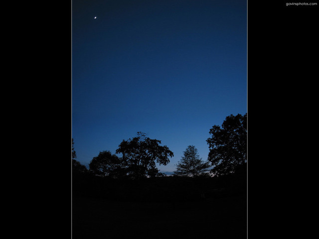 Dark sky trees moon clouds #3 free wallpaper - medium preview image
