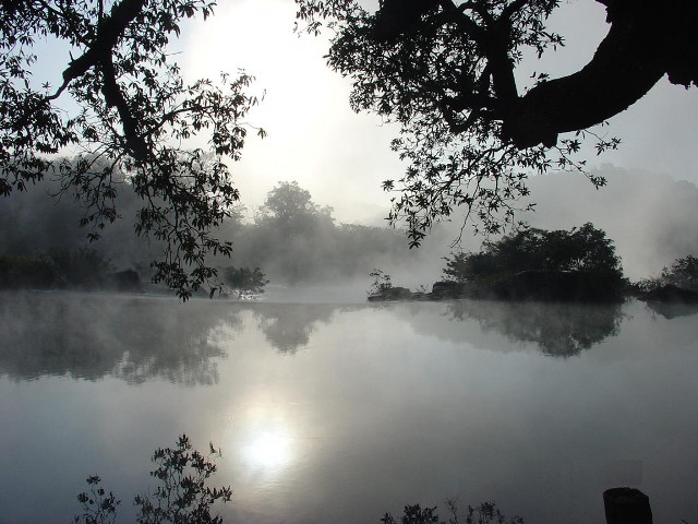 Lake trees foggy sky clouds free wallpaper - medium preview image