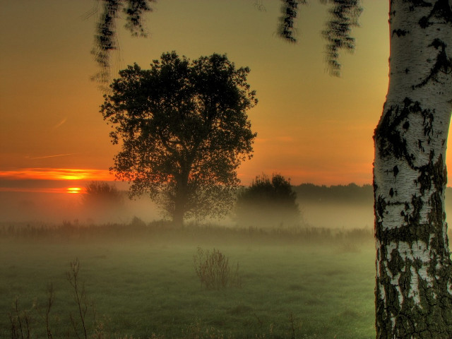 Foggy field tree sunset clouds #2 free wallpaper - medium preview image