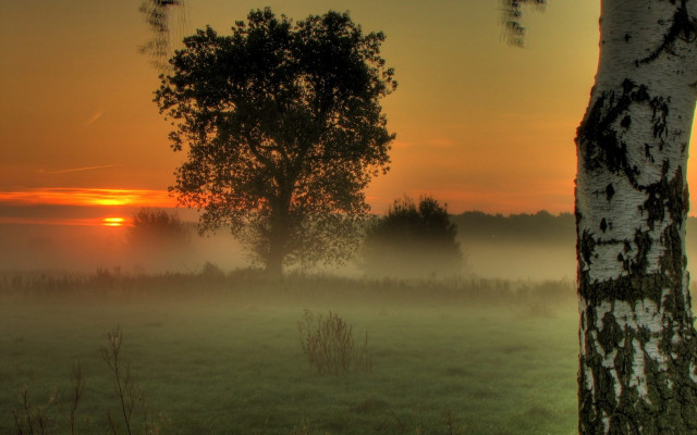 Foggy field trees sunset clouds #2 free wallpaper - medium preview image
