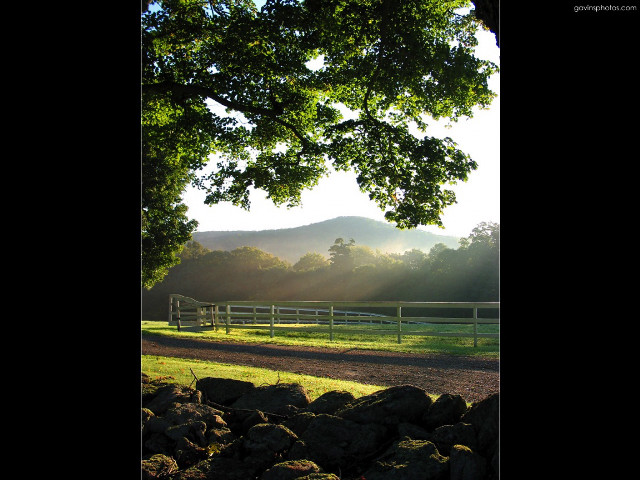 Horse field fence tree sun free wallpaper - medium preview image