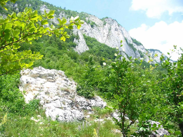 Mountain large rock trees blue free wallpaper - medium preview image