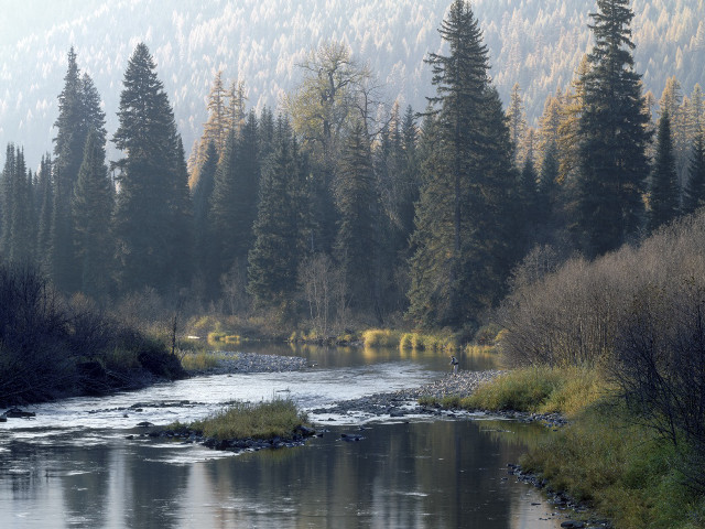 River forest foggy day people free wallpaper - medium preview image