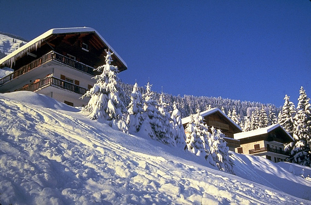 House snowy hill trees blue free wallpaper - medium preview image
