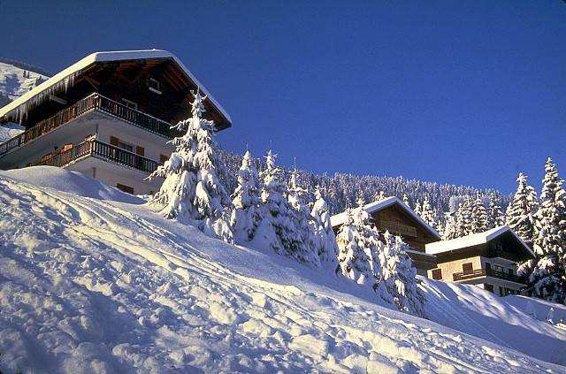 House snowy hill trees blue #2 free wallpaper - medium preview image